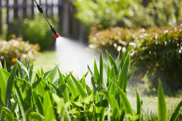 24/7 Emergency Wasp Removal experts in Canton, SD